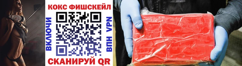 купить наркоту  Нижнекамск  ссылка на мегу   Cocaine Эквадор 