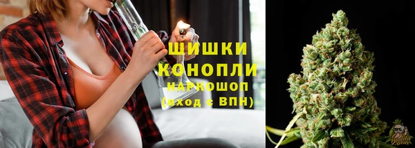 дурь Вяземский